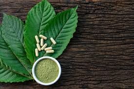 Is Kratom the Secret to Elevated Mental Wellness? YES! Here's Why